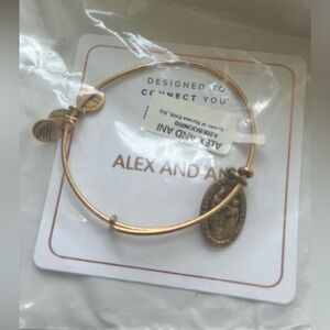 Alex and Ani Mary Queen of Nurses Charm Bangle Bracelet